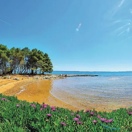 דירה Beautiful In With Wifi ויר